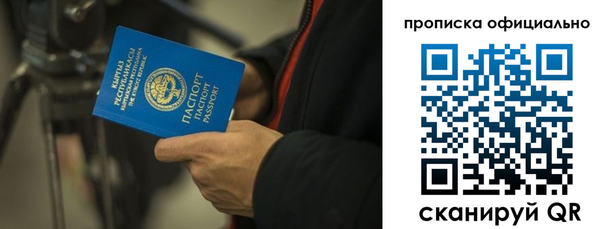 прописка в Истре